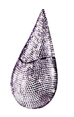 2008L(fng)(bio) ˮ