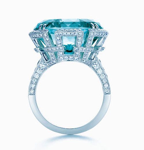 (mng)ðܣTIFFANY&Co.錚M@F