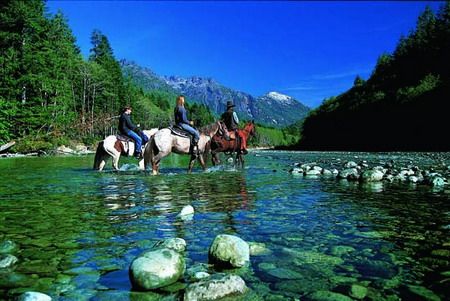 2008 hݳƷ Global Luxury Report 