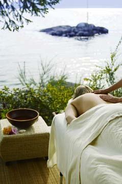 2008 hݳƷ Global Luxury Report 
