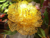 2009ڇH錚չF-ƷȫӡSƷ֮A꣩ 