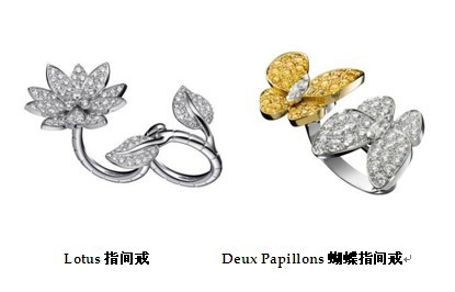 Ō߼錚չɶ