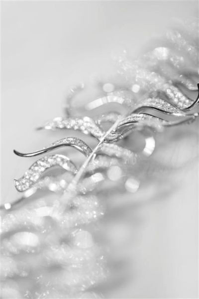 Plume،