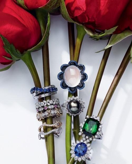 Harry Winston ܽ Dior ߼(j)錚 錚@ʯָ Enzo G̭tָ