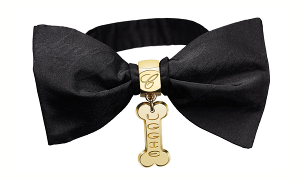 ChopardʒСUggie؄eOӋW˹IY