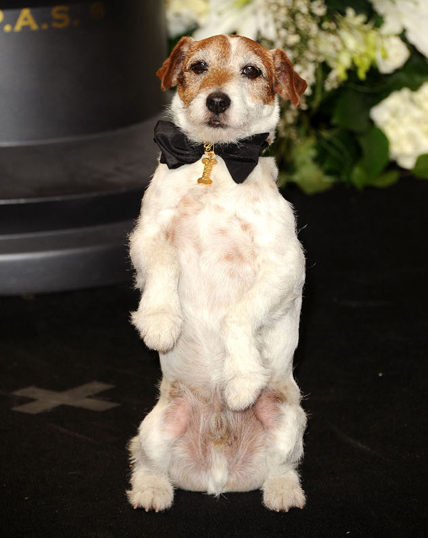 ChopardʒСUggie؄eOӋW˹IY