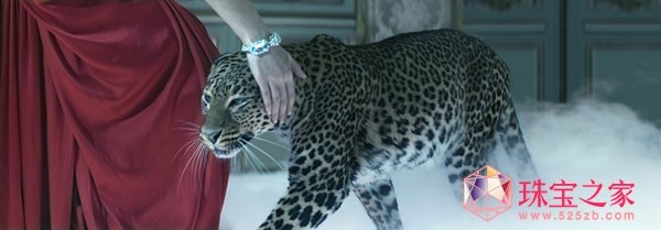 L'Odysse de CARTIER ؁@֮