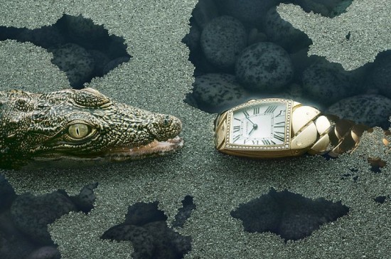 zӰPeter Lippmann{~c鿨؁(Cartier)s־ĔzһMDƬDƬ}ǡT󡱡