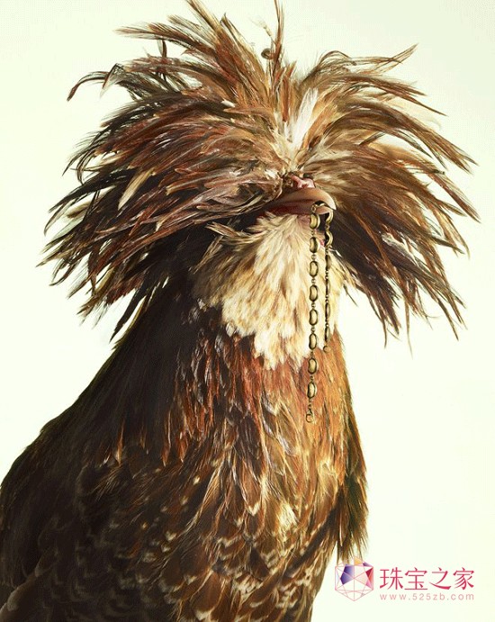 Peter Lippmannëϵ錚AƬ