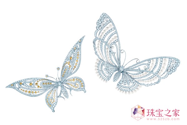 O׿^֮ TiffanyܽᣩAF錚ϵ