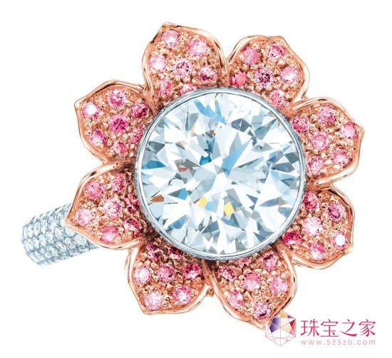 4ʯ@ʯDܽ(Tiffany) @@ͽָ