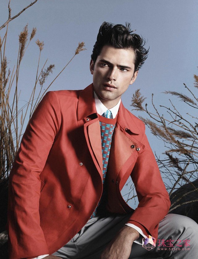 Ľ Salvatore Ferragamo 2013 ďVƬ