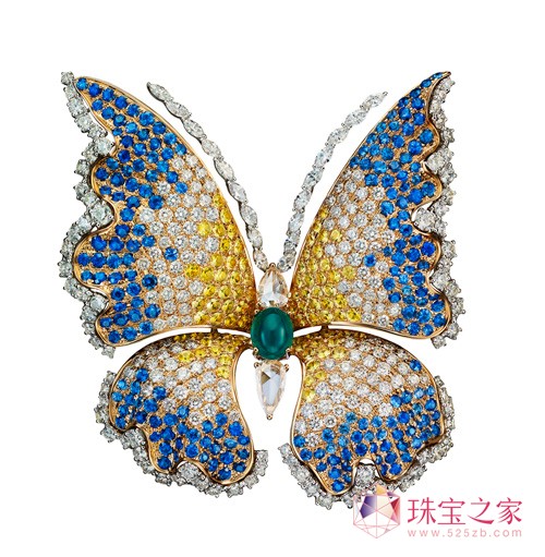 FANCYCD피Ӣ錚 錚OӋ͌ʯ֮