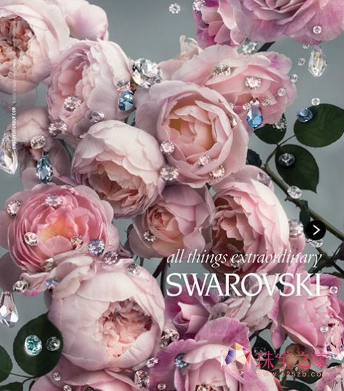 SwarovskiʩAˮ2013ďVƬ