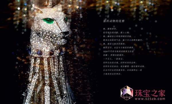 ؁2013錚Ʒpϣ