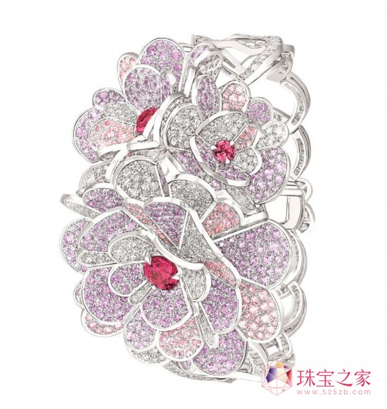 CHANELȫJARDIN DE CAMELIAS߼錚ϵ Aɽ軨