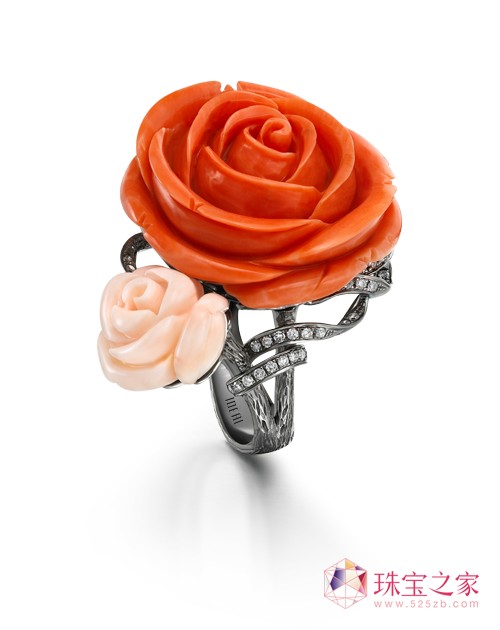 ۵Ϡ“ROSE”ϵ