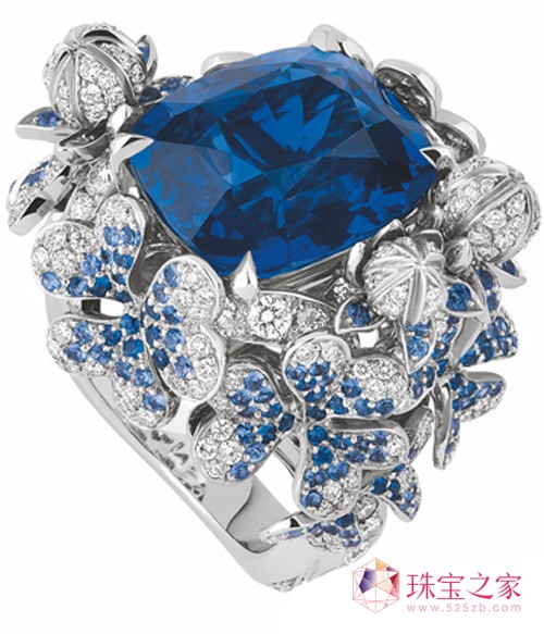 ϊW(Dior)