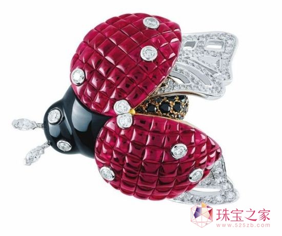 Coccinelle Mystérieuse tʯ[ʽǶ Van Cleef & Arpels錚OӋ