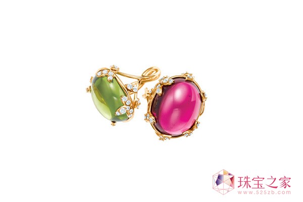 ܽƳ Paloma’s Olive Leaf ϵ錚