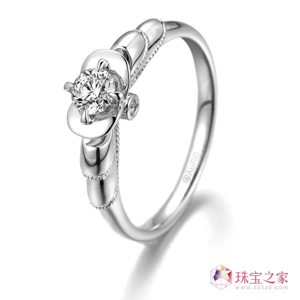 錚Ƴȫ2013ϵ錚