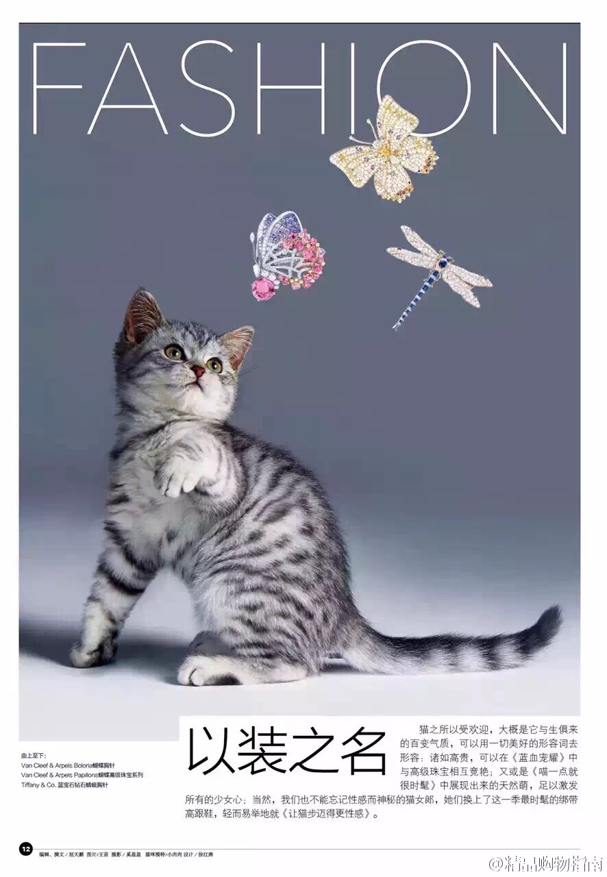 ȑB[A錚 cձײĘ