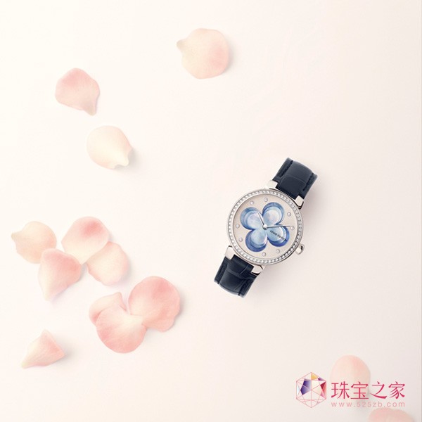 ·ȫBlossom ϵ錚