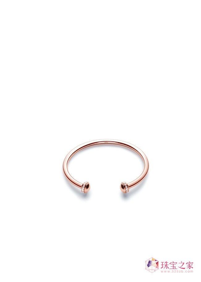 Piaget Possession C
