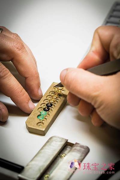 Ōȫ錚ϵBouton d'or