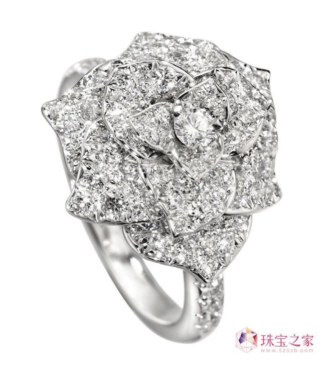 Piaget Roseϵнָ