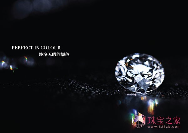 @ʯ | NEW VISION30ȫOӋxĻ