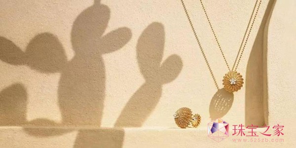 ؁Cactus de Cartier ϵʢľ`
