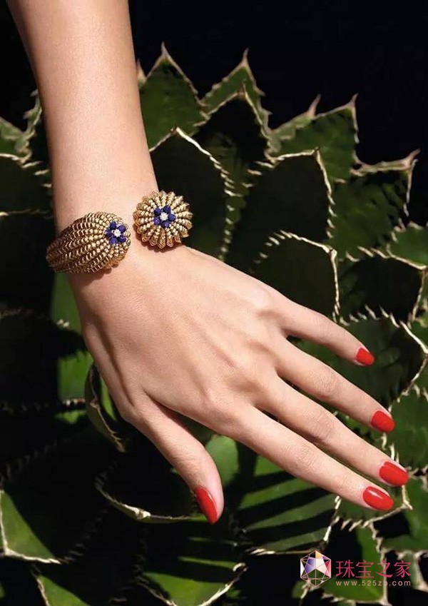 ؁Cactus de Cartier ϵʢľ`
