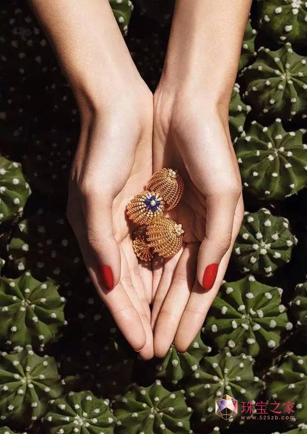 ؁Cactus de Cartier ϵʢľ`
