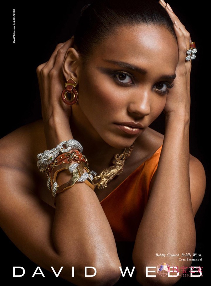 David Webb 2016ﶬϵЏVƬ