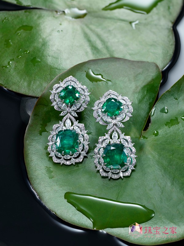 GemfieldcʒƳ¿Green Carpet錚