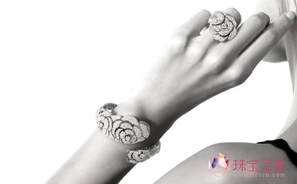 ΃Ʒ錚Coco Avant Chanel ϵ
