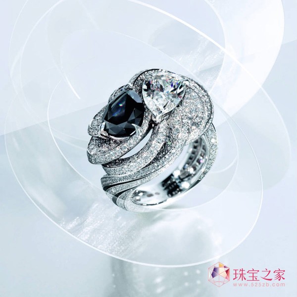 ȫRsonances de Cartier߼錚ϵ